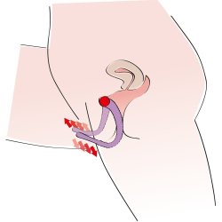 G-punkt spreiari til ginuvarrar