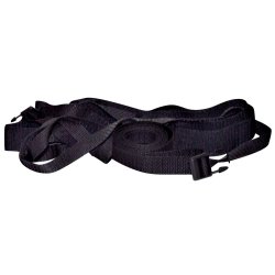 Seingjarleinkjur - Bad Kitty