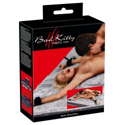 Seingjarleinkjur - Bad Kitty