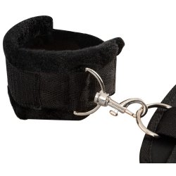 Bad Kitty h�ls-, hond- og f�treimasett