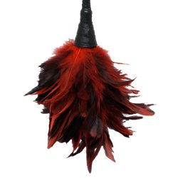 Frisky Feather fja�rakitlari - 35,6 cm