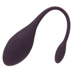 Training Pleasure Balls RC Single Vibrating Love Ball
