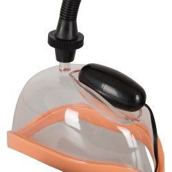 Ginu sgvari vi vibrator