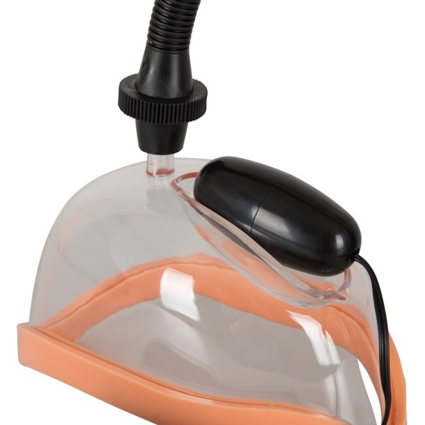 Ginu sgvari vi vibrator