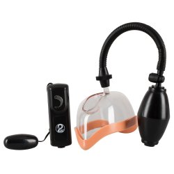 Ginu sgvari vi vibrator