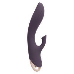 S�gvandi vibrator