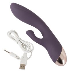 S�gvandi vibrator