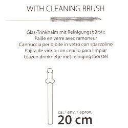 Penis sgvirr r glasi