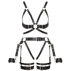 ZADO le�urharness-sett vi� hondreimum