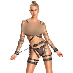 ZADO le�urharness-sett vi� hondreimum