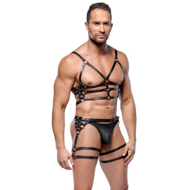 ZADO le�urharness vi� mjadna- og l�rreimum