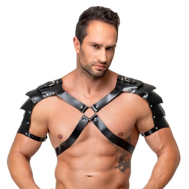 ZADO le�urharness vi� akslap�rtum