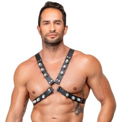ZADO X-le�urharness vi� nittum
