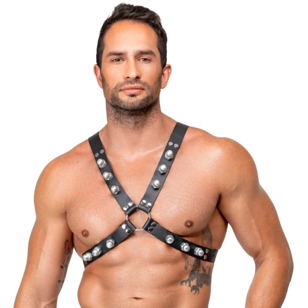 ZADO X-le�urharness vi� nittum