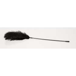 Bad Kitty svartur fja�rakitlari