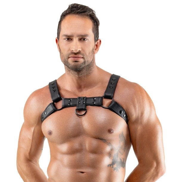 Svenjoyment svart bringuharness vi� spennum