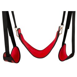 Bad Kitty Door Swing