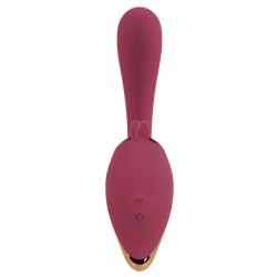 2 Function Vibrator
