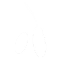 Malan hendaveg og Malan handaveg