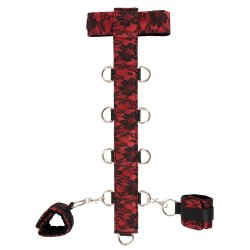 Bad Kitty kragi og hondreimar � rey�um satin