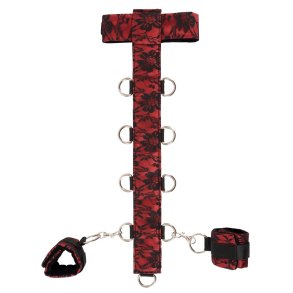 Bad Kitty kragi og hondreimar � rey�um satin
