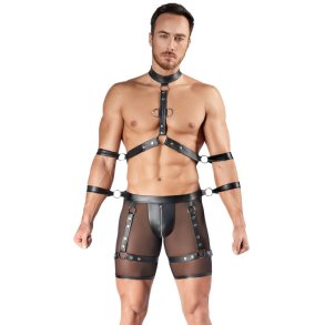 Svenjoyment svart netsett vi� harness og f�ra hondbondum