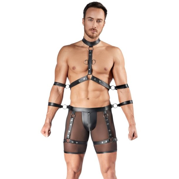 Svenjoyment svart netsett vi� harness og f�ra hondbondum